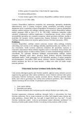 Švietimo sistemos Lietuvoje analizė 15 puslapis