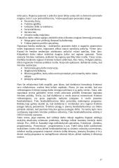 Švietimo sistemos Lietuvoje analizė 17 puslapis