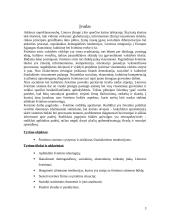 Švietimo sistemos Lietuvoje analizė 3 puslapis