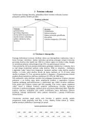 Švietimo sistemos Lietuvoje analizė 10 puslapis