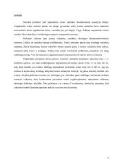Taikytinos teisės reguliavimas tarptautinėse sutartyse 2 puslapis