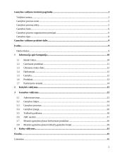 Traškučių gamybos procesas KiMs įmonėje 2 puslapis