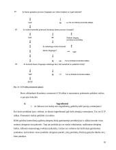 Traškučių gamybos procesas KiMs įmonėje 16 puslapis