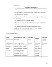 Traškučių gamybos procesas KiMs įmonėje 19 puslapis