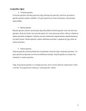 Traškučių gamybos procesas KiMs įmonėje 8 puslapis