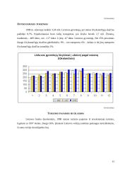 Turizmo analizė 13 puslapis