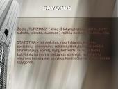 Turizmo statistinis tyrimas 2 puslapis