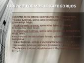 Turizmo statistinis tyrimas 3 puslapis