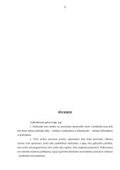 Turto areštas vykdymo procese 17 puslapis
