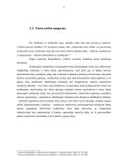 Turto areštas vykdymo procese 5 puslapis
