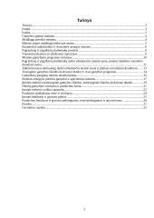 Ūkinės veiklos analizė: įmonė "Detalija" 2 puslapis