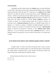 Namų ūkių biudžetų statistiniai duomenys 10 puslapis