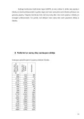 Namų ūkių biudžetų statistiniai duomenys 13 puslapis