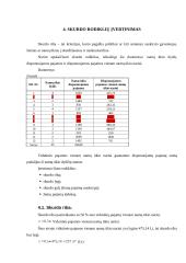 Namų ūkio statistika ir ekonometrija 13 puslapis