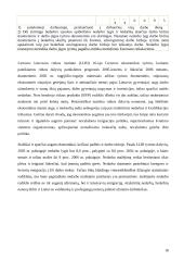 Užimtumas ir nedarbas. Situacija Lietuvoje, ES bei Egipte 17 puslapis