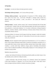 Užimtumas ir nedarbas. Situacija Lietuvoje, ES bei Egipte 18 puslapis