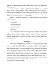 Vadovavimas mokyklai – vienas iš švietimo organizacijos valdymo grandžių 12 puslapis