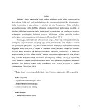 Vadovavimas mokyklai – vienas iš švietimo organizacijos valdymo grandžių 3 puslapis