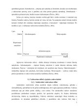 Vadovavimas mokyklai – vienas iš švietimo organizacijos valdymo grandžių 5 puslapis