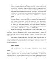 Vaiko vaizduotė 13 puslapis