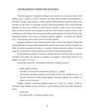 Vaiko vaizduotė 16 puslapis