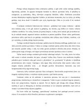 Vaiko vaizduotė 19 puslapis