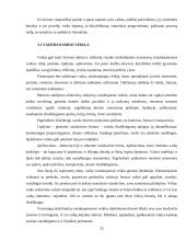 Vaiko vaizduotė 20 puslapis