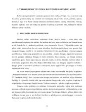 Vaiko vaizduotė 8 puslapis