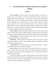 Valstybės imunitetas nuo vykdymo veiksmų 2 puslapis