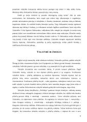 Valstybės ir individo harmonija Aristotelio idėjose 8 puslapis