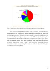 Veikiančių ūkio subjektų skaičiaus tyrimas 2002-2009 metais 16 puslapis