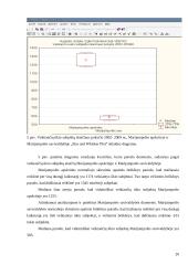 Veikiančių ūkio subjektų skaičiaus tyrimas 2002-2009 metais 20 puslapis