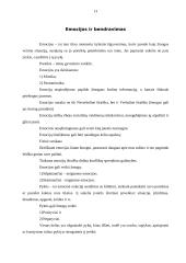 Verbalinis bendravimas 13 puslapis