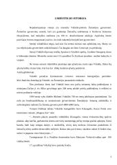 Viduklės mokyklos istorija 3 puslapis