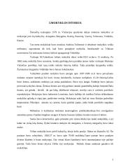 Viduklės mokyklos istorija 5 puslapis