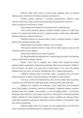 Viduklės mokyklos istorija 6 puslapis