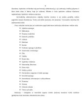 Viešasis administravimas ir pagrindinės viešosios institucijos 11 puslapis
