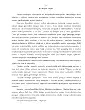 Viešasis administravimas ir pagrindinės viešosios institucijos 12 puslapis