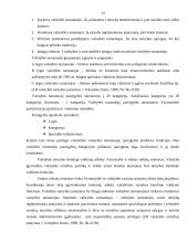 Viešasis administravimas ir pagrindinės viešosios institucijos 13 puslapis