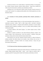 Viešųjų kalbų rengimas: principai ir klaidos 13 puslapis