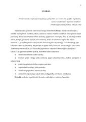 Viešųjų kalbų rengimas: principai ir klaidos 2 puslapis