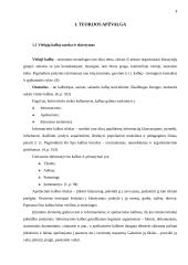 Viešųjų kalbų rengimas: principai ir klaidos 3 puslapis