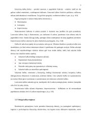 Viešųjų kalbų rengimas: principai ir klaidos 4 puslapis