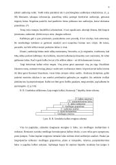 Viešųjų kalbų rengimas: principai ir klaidos 5 puslapis