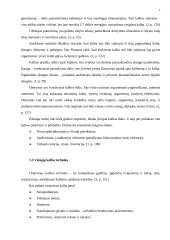 Viešųjų kalbų rengimas: principai ir klaidos 6 puslapis