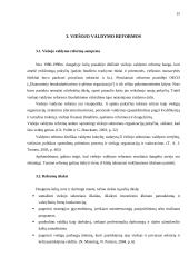 Viešųjų organizacijų valdymas 11 puslapis