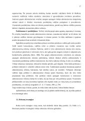 Viešųjų organizacijų valdymas 13 puslapis