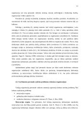 Viešųjų organizacijų valdymas 17 puslapis