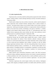 Viešųjų organizacijų valdymas 20 puslapis