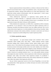 Viešųjų organizacijų valdymas 3 puslapis